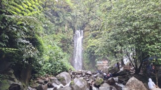 Curug Sejoli: Menyingkap Pesona Tersembunyi Surga Air di Gunung Khayangan Cipamingkis