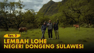 Menembus Kabut di Lembah Lohe: Menjelajahi 