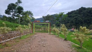 Lembah Daun Camp Riverside: Permata Tersembunyi di Pamijahan yang Terhalang Jalan Berkerikil