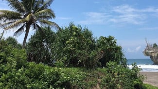 5 Wisata di Pangandaran yang Punya Pesona dan Keindahan Alam