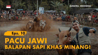 Menelusuri Jantung Minangkabau: Dari Desa Terindah di Dunia hingga Pacu Jawi yang Memacu Adrenalin