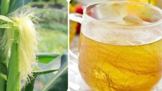 4 Minuman Alami Pendukung Sistem Pembuangan Ginjal, Ada Teh Rambut Jagung