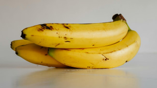 Begini Manfaat dari Konsumsi Pisang bagi Kesehatan Tubuh