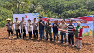 Pemuda Muhammadiyah Ciamis Garap 2 Hektare Lahan di Cidolog, Pilot Project Petani Milenial Mulai Digulirkan