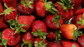 Ternyata Begini Fakta Nutrisi dan Kandungan yang Ada di dalam Stroberi