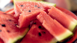 Ternyata Ini Fakta Nutrisi dan Kandungan yang Ada di dalam Semangka