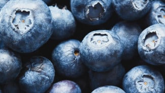 Seperti Ini Fakta Nutrisi dan Kandungan yang Ada di dalam Blueberry