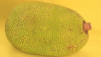 img_title