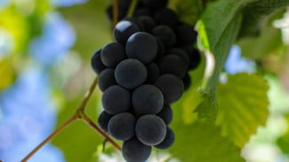 img_title