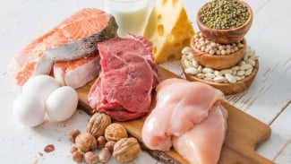 Umur Panjang: Studi Baru Mengaitkan Asupan Protein Lebih Rendah dengan Penuaan yang Sehat