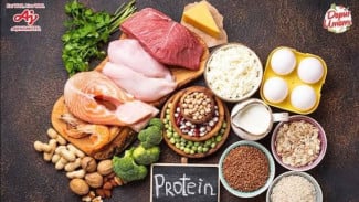 5 Alasan Ilmiah untuk Mengonsumsi Lebih Banyak Protein