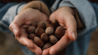 Segenggam Kacang Setiap Hari dapat Membantu Menjaga Tekanan Darah tetap Terkendali