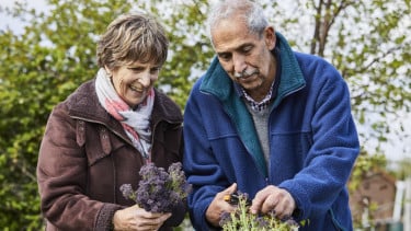 img_title