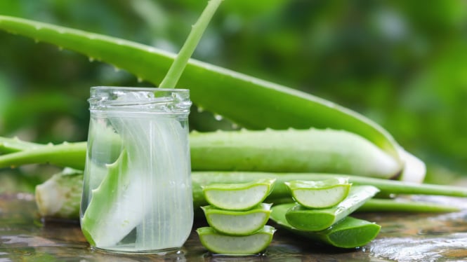 Efek Samping Jus Lidah Buaya