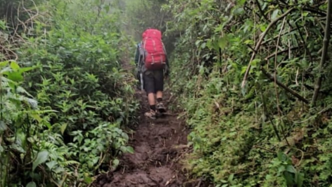 Perjalanan menuju pos 3 gunung merbabu