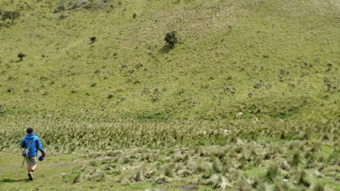 Sabana Pos 4 Gunung Merbabu