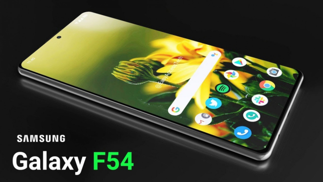 Galaxy F54 5G