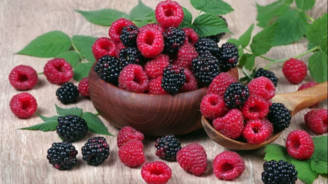Manfaat Raspberry Bagi Kesehatan