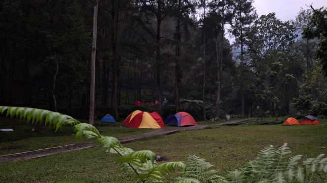 Curug Nangka Camping Ground
