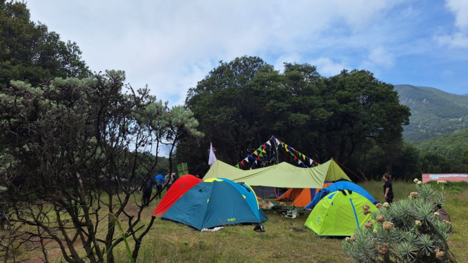 Camping Ground Gunung Papandayan