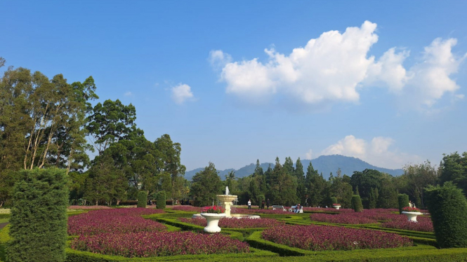 Taman Bunga Nusantara