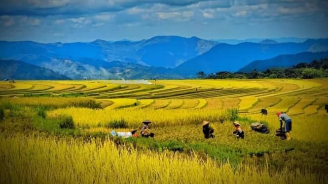 panorama memukau Desa Wisata Barania