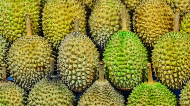 buah durian