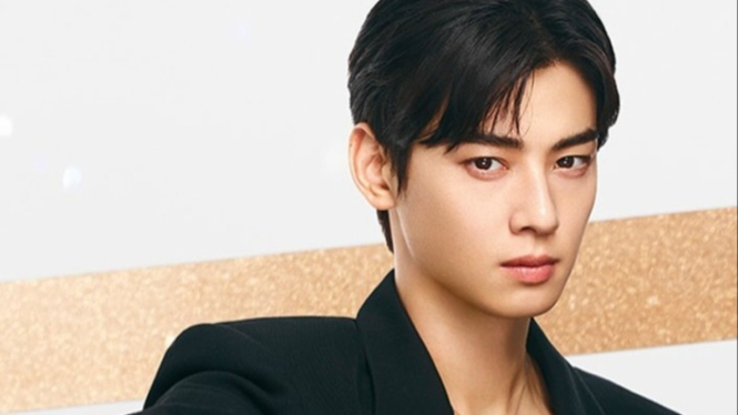 Cha Eunwoo