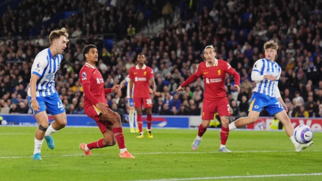 Brighton vs Liverpool