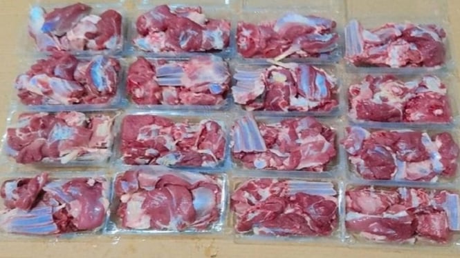 daging kurban