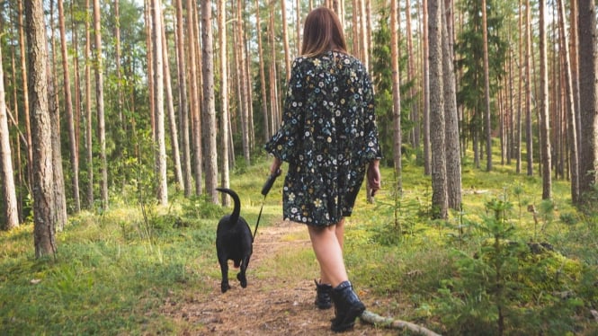 Japanese Walk
