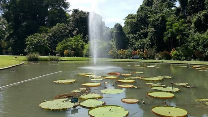Kebun Raya Bogor