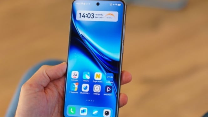 Vivo