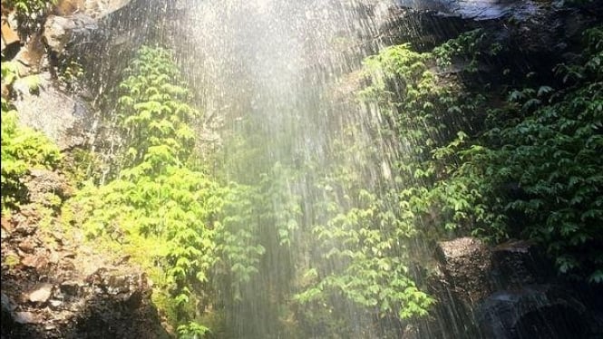 Air terjun dlundung