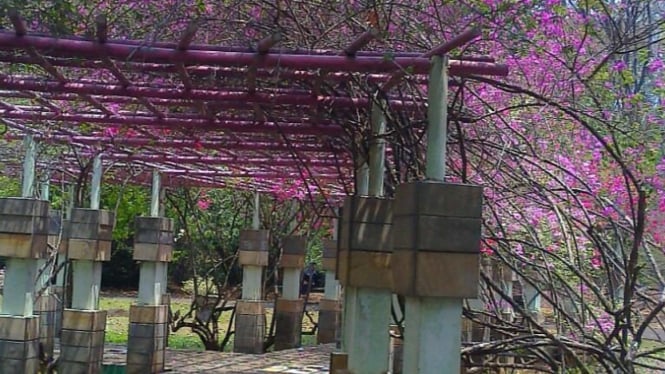 Kebun Raya Purwodadi