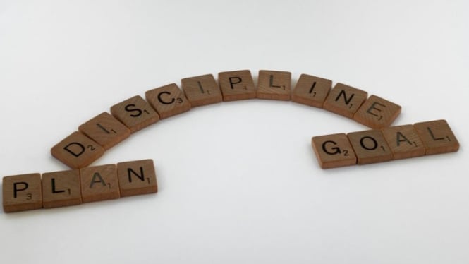 Disiplin