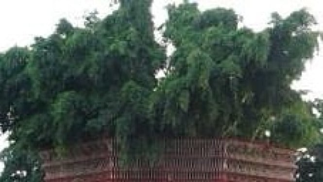 Alun-alun Blitar