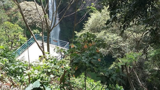 Taman Wisata Gunung Pancar