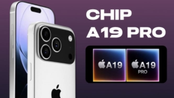 chip A19 pro