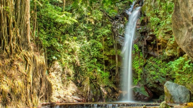 Curug Putri Palutungan