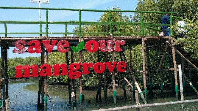 Mangrove Karangsong