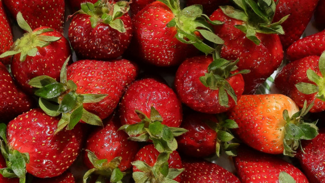 Buah Stroberi