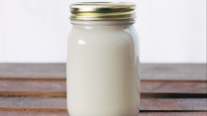 Mana yang Lebih Sehat: Kefir atau Kombucha? Cari Tahu Jawabannya di Sini