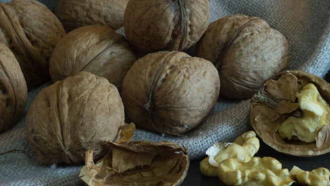 Kacang kenari