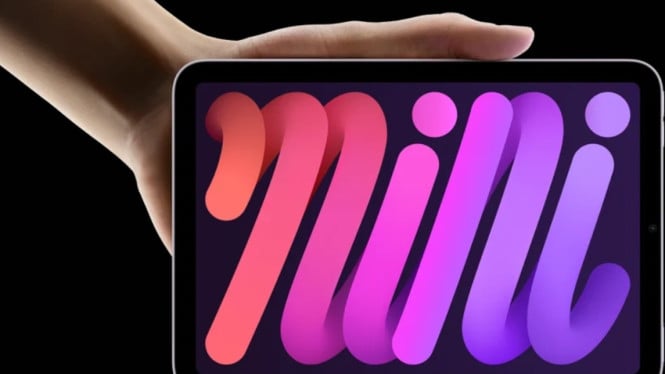 iPad Mini 7