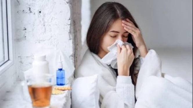 Musim pilek dan flu