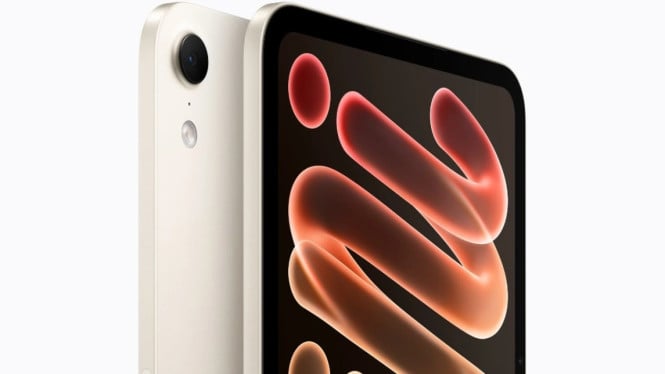 iPad Mini