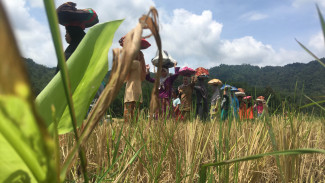 Manjalang Mintuo, Tradisi Minangkabau di Hari Raya Idul Fitri