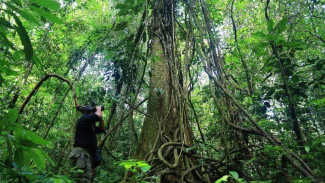 KKI Warsi Beberkan Penyebab Suhu Panas yang Terjadi di Indonesia