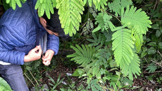 Tim WRU BKSDA Sumbar Redam Kasus HTC di Kabupaten Solok